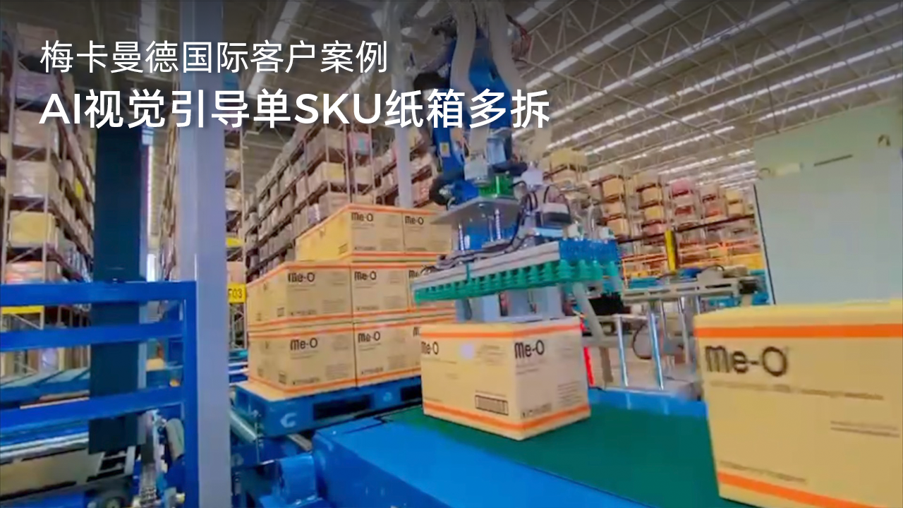 AI視覺引導單SKU紙箱多拆