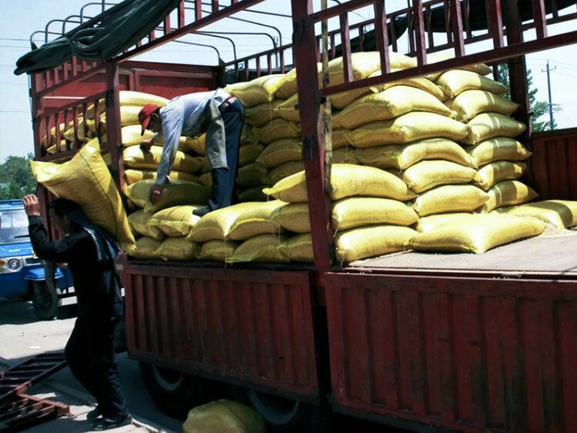 梅卡曼德合作伙伴推出全自動(dòng)機(jī)器人裝卸車解決方案